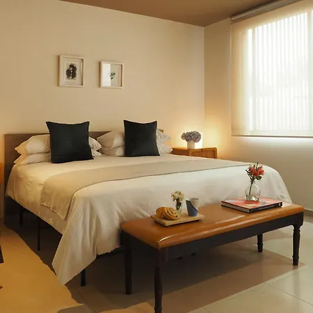 Loft Coahuila By The Local Way Apartment