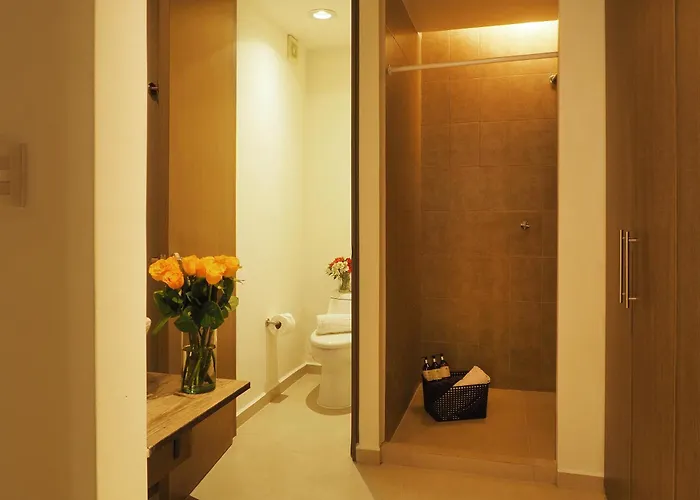 Apartment Loft Coahuila By The Local Way Mexico City
